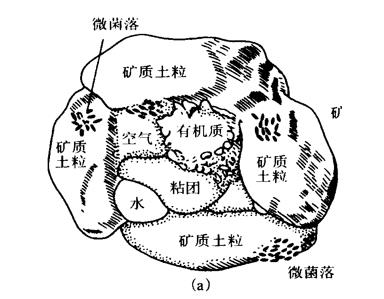 土壤基質.jpg