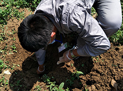 華清環境土壤采樣